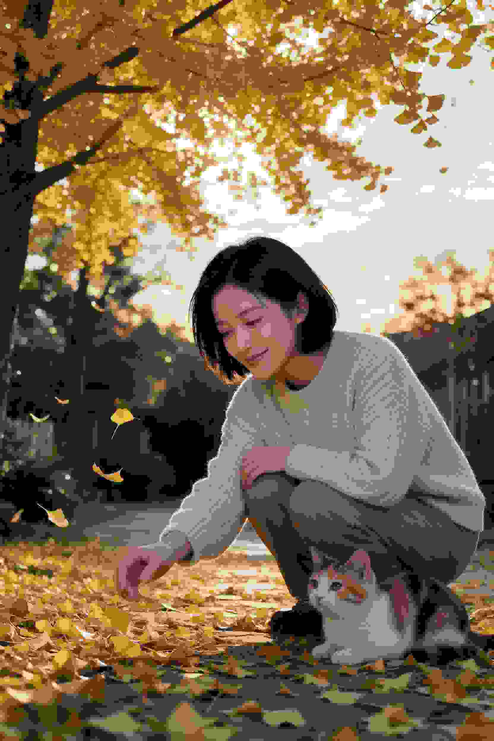 校园爱情短剧